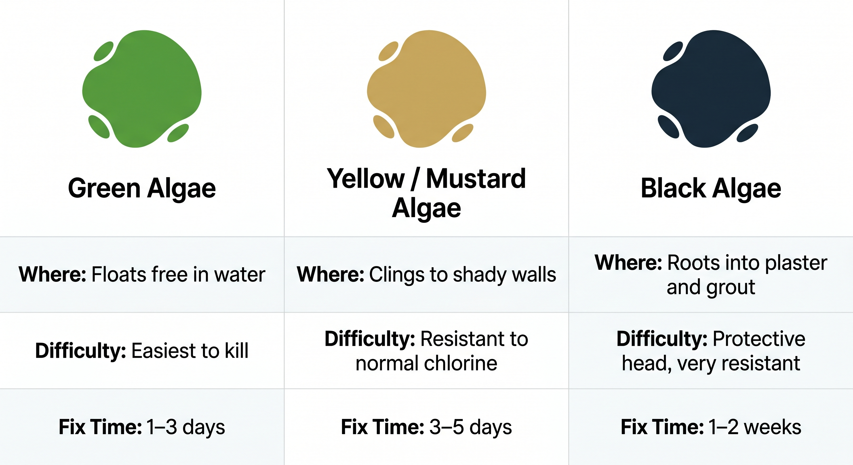 Comparison diagram of three pool algae types showing green yellow and black algae with location difficulty and treatment time for each